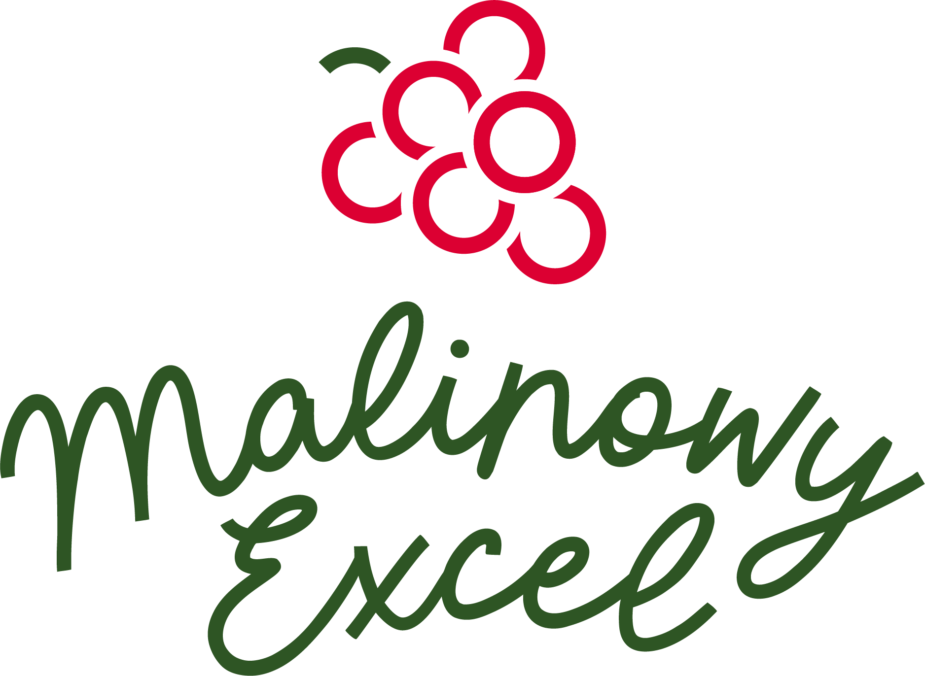 Logo Malinowy Excel